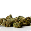 A pile of beautiful buds represents the growth of support for the legalized state of CO.