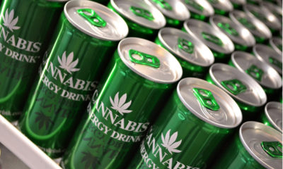 Flats of unopened cans of cannabis engergy drinks.