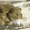 A bag of bud on a twenty dollar bill demonstrates the cooperative relationship between cannabis providors and banks.