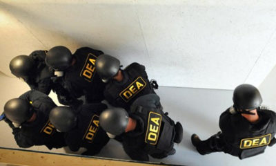 A team of DEA agents break into another grow operation as they continue their series of raids.