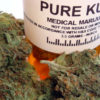Buds of Pure Kush, a possible treatment for Hepatitas C, wait to be loaded into a prescription bottle.