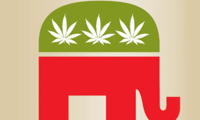 The republican elephant symbol with the blue back replaced with green and three pot leaves.
