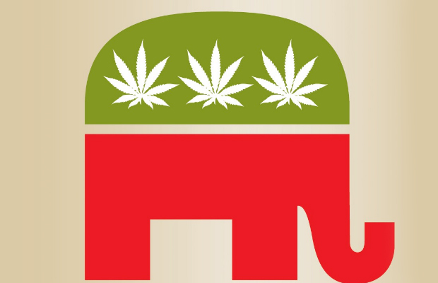 The republican elephant symbol with the blue back replaced with green and three pot leaves.