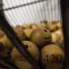 A cage full of lottery balls represent the cannabis license lottery in Washington.