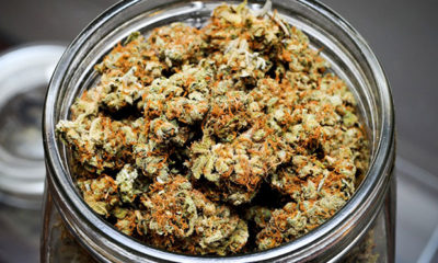 Jar of dank buds that may be used to make Kush Cream's Throat Spray for a Sore Throat