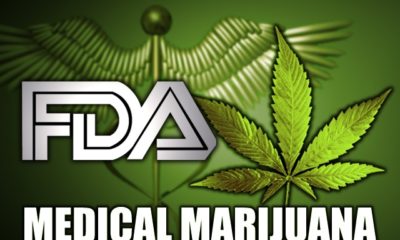 A collage of the FDA symbol and medical marijuana signs represent the changing relationship between the two as the DEA looks to reschedule marijuana.
