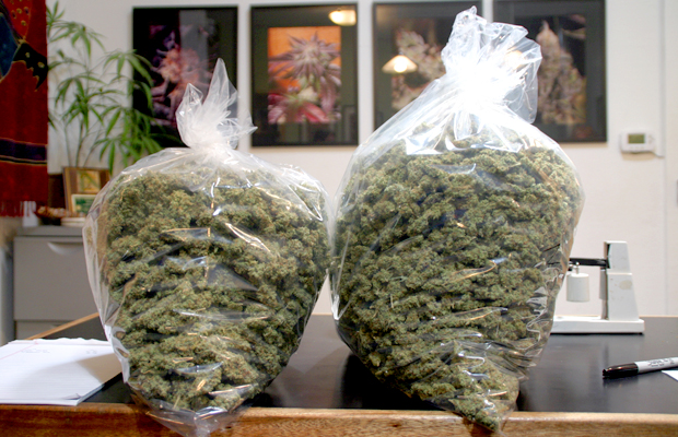 A Pound's Journey: How Harborside Health Center Handles the World's Largest Stash | Cannabis Now