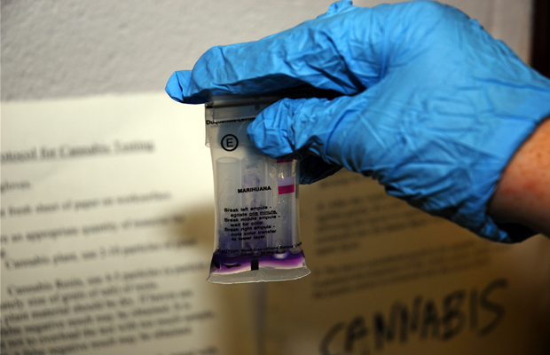 A lab technician tests marijuana at Monsanto.