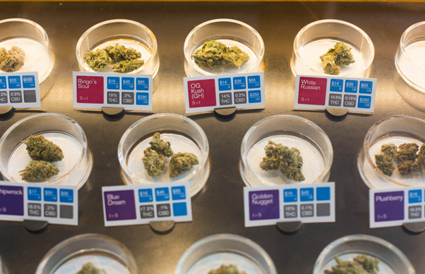 Small dishes display the cannbis available at one of the only remaining dispensaries in San Jose after officials downsized the number of legal dispensaries.
