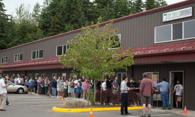 Line outside of a dispensary in Washington state, where weed is now legal