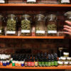 A hand places jars full of bud back on the shelves. The shelves also hold a variety of oils.