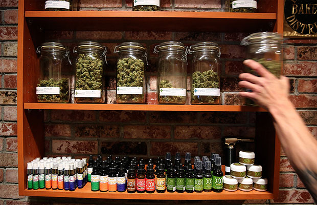 A hand places jars full of bud back on the shelves. The shelves also hold a variety of oils.