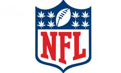 The NFL coat of arms has been modified with six pot leaves in hopes of the organization's decision to let players smoke marijuana.