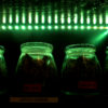 A green light shines on four jars full of marijuana at a dispensary in Washington.
