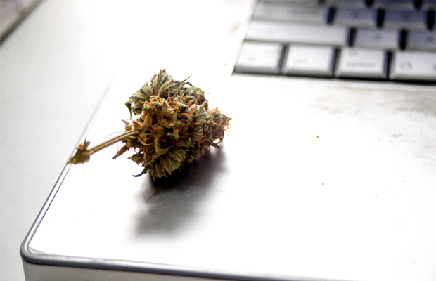 A bud of marijuana sits on a laptop in a work place where 1 in 10 Americans go to work stoned.
