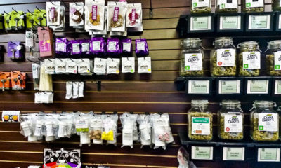 Bud and products on the shelves of the Canna Daddy's Dispensary