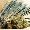 A bundle of 20 dollar bills sit next to a marijuana bud representing the lucrative marijuana business.