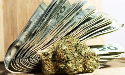 A bundle of 20 dollar bills sit next to a marijuana bud representing the lucrative marijuana business.