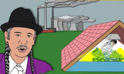 Harborside's Steve DiAngelo as a cartoon shows how marijuana can be grown outside and inside.
