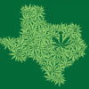 A green Texas has been shaped by pot leaves because new decriminalization bills go through Texas senate.