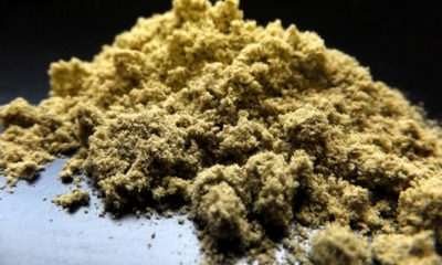 A pile of kief, the original cannabis extract.