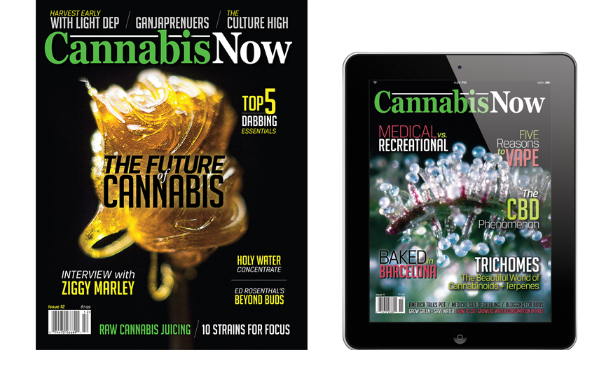 subscribe-cannabis-now-magazine