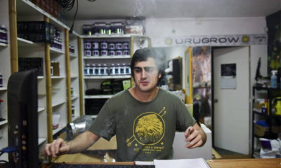 An Urugyan man exhales a hit at a new cannabis club in Uruguay.
