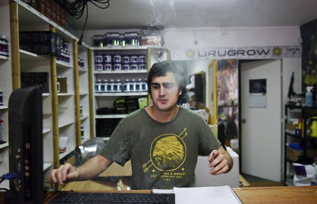 An Urugyan man exhales a hit at a new cannabis club in Uruguay.