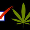 A box with a red check mark next to a pot leaf represents marijuana on the voting ballot this year.