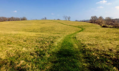 Grass road running through a field on Native Lands