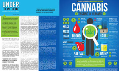 Infographic on testing for the amount of cannabis in a body