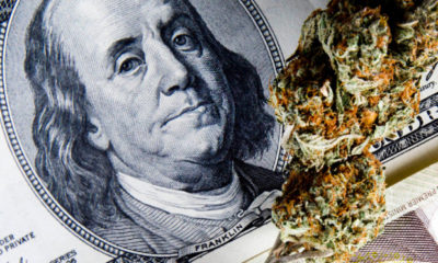 A 100 dollar bill sits beneath a bud of marijuana in hopes that one day banking and the cannabis industry can reconcile their differences with federal legalization.