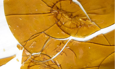 Homemade orange/yellow shatter on a table may soon be banned for homemade extracts in Oregon.