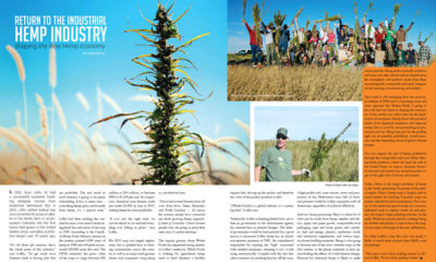 A spread from Issue 10 of Cannabis Now shows hemp farms and the title.
