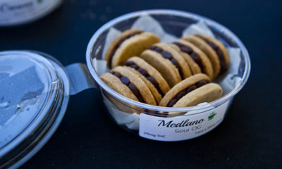 Tupperware of Cannabis Sandwich Cookies with Labeled Potency