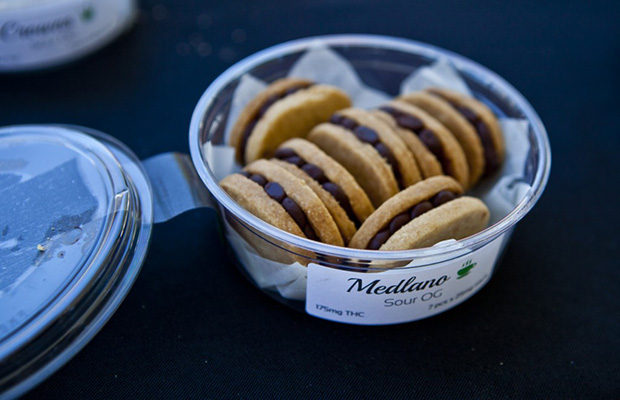 Tupperware of Cannabis Sandwich Cookies with Labeled Potency