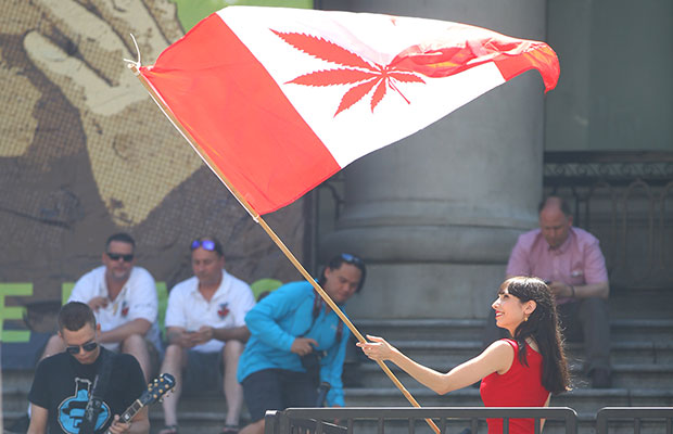 Woman Waves Canadian Flag with Red Pot Leaf in Middle
