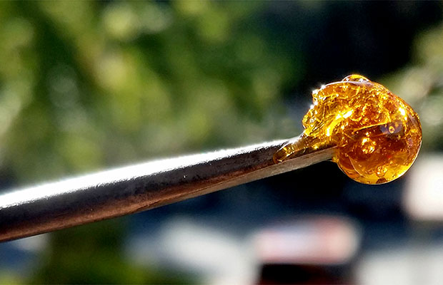 Sour D Shatter at the End of a Nail