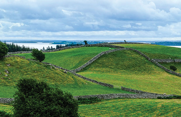 Green Rolling Hills in Ireland