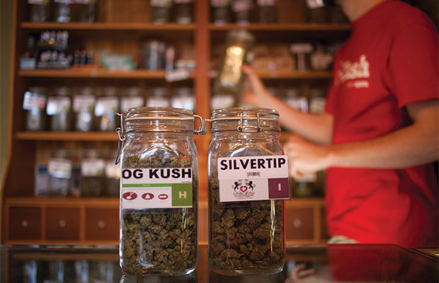 Jars of Silvertip and OG Kush from Lion Heart Dispensary in Montana