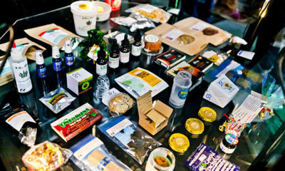 Table Full of Samples at the Emerald Cup
