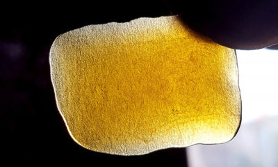 A Chunk of the Shatter Blue Dream