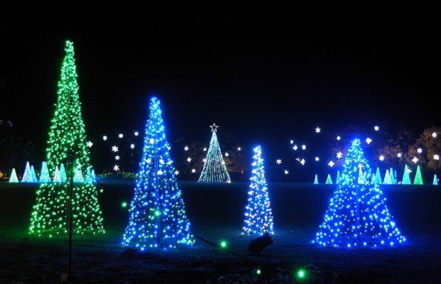 A Cluster of Christmas Trees Made Up of Green and Blue Lights