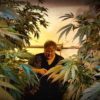 Paul Stanford Among Cannabis Plants