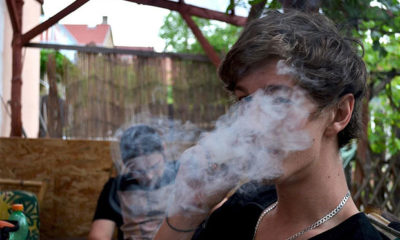 A Man Smokes Without Fear that Marijuana Will Lower His IQ