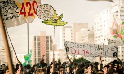 Latin America Cannabis Now Magazine