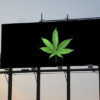 cannabis billboards Cannabis Now
