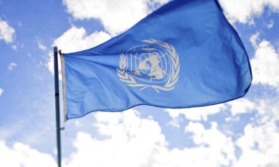 United Nations Cannabis Now Magazine