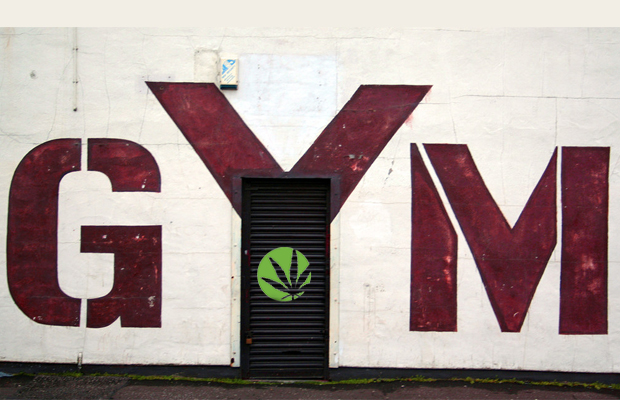 Marijuana Gym Cannabis Now Magazine