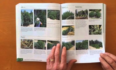 The Cannabis Encyclopedia Cannabis Now Magazine